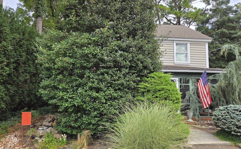 The city issued a notice Aug. 29 for a two-story single-family dwelling and an accessory structure at 113 Norfolk St.